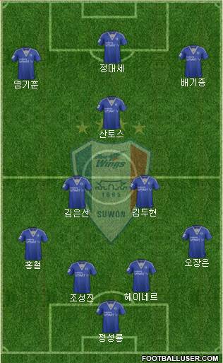 Suwon Samsung Blue Wings Formation 2014