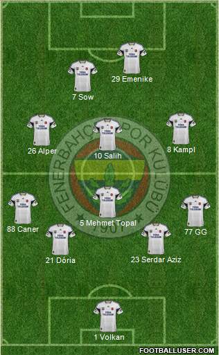 Fenerbahçe SK Formation 2014