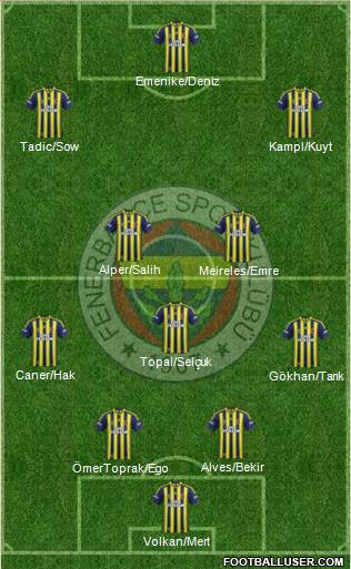 Fenerbahçe SK Formation 2014