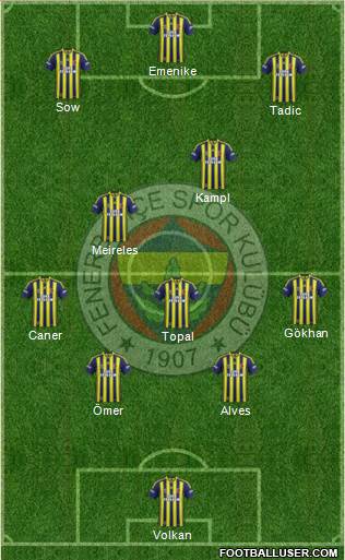 Fenerbahçe SK Formation 2014