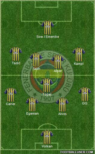 Fenerbahçe SK Formation 2014