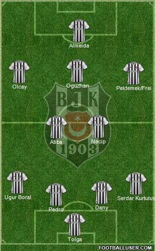 Besiktas JK Formation 2014