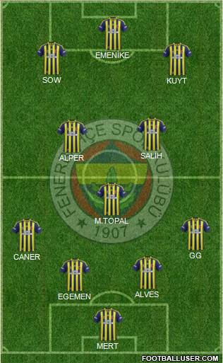 Fenerbahçe SK Formation 2014
