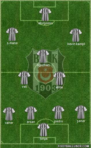 Besiktas JK Formation 2014