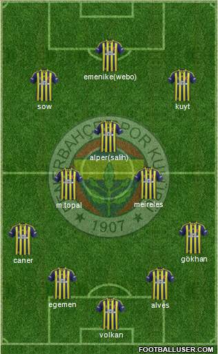 Fenerbahçe SK Formation 2014