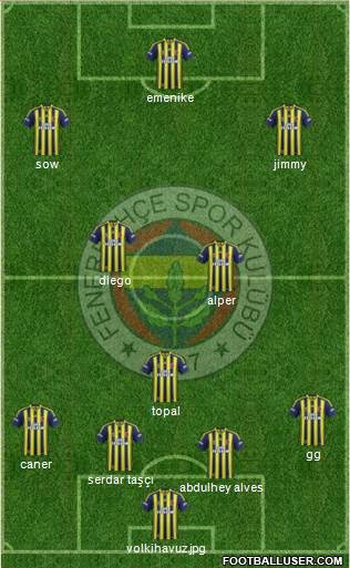 Fenerbahçe SK Formation 2014