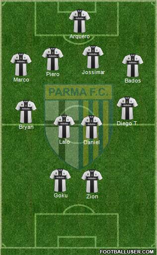 Parma Formation 2014