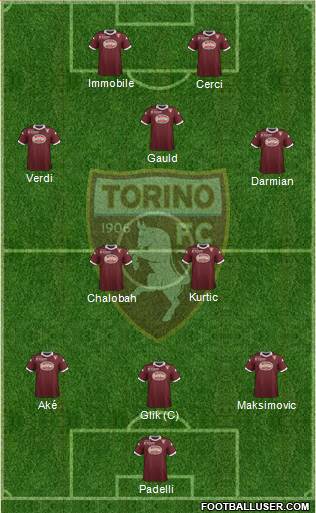 Torino Formation 2014