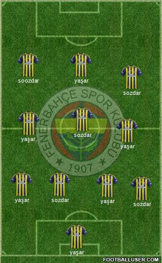 Fenerbahçe SK Formation 2014
