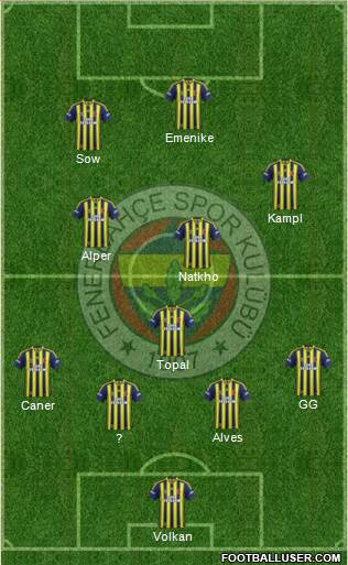 Fenerbahçe SK Formation 2014