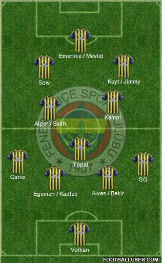 Fenerbahçe SK Formation 2014