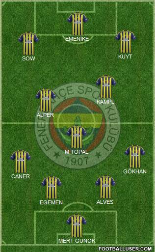 Fenerbahçe SK Formation 2014