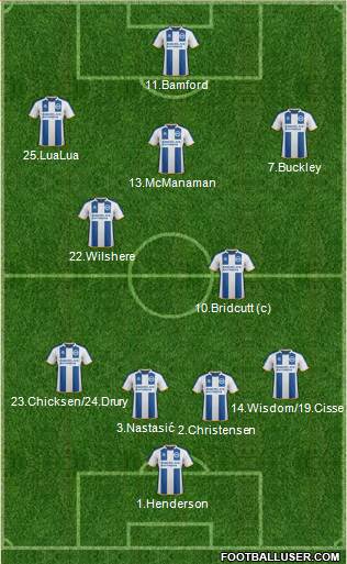Brighton and Hove Albion Formation 2014
