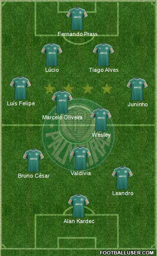 SE Palmeiras Formation 2014