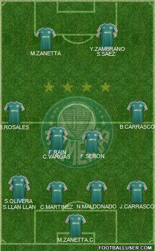 SE Palmeiras Formation 2014