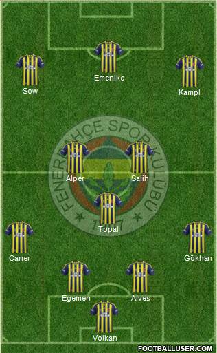 Fenerbahçe SK Formation 2014