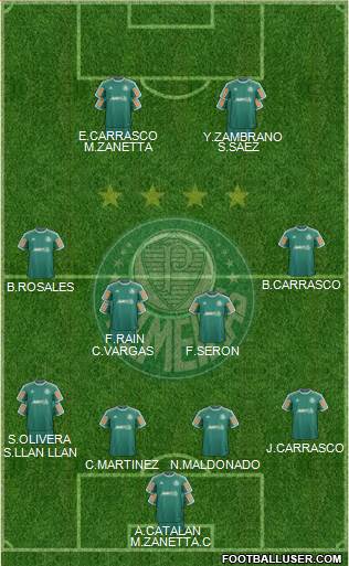 SE Palmeiras Formation 2014