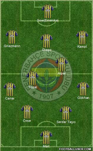 Fenerbahçe SK Formation 2014