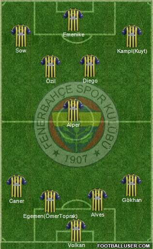 Fenerbahçe SK Formation 2014