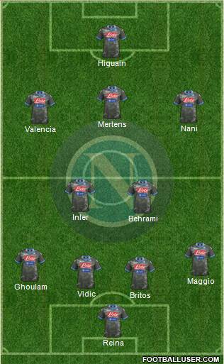 Napoli Formation 2014