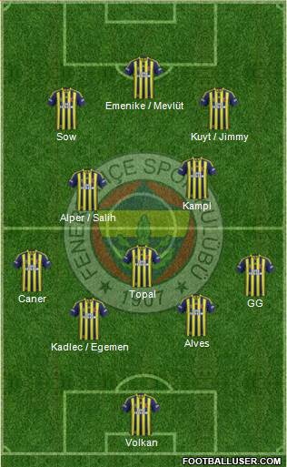 Fenerbahçe SK Formation 2014