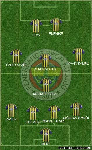 Fenerbahçe SK Formation 2014