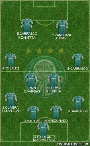 SE Palmeiras Formation 2014