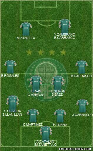 SE Palmeiras Formation 2014