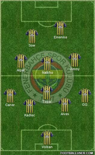 Fenerbahçe SK Formation 2014