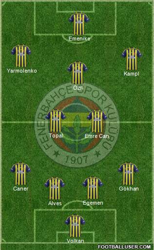 Fenerbahçe SK Formation 2014