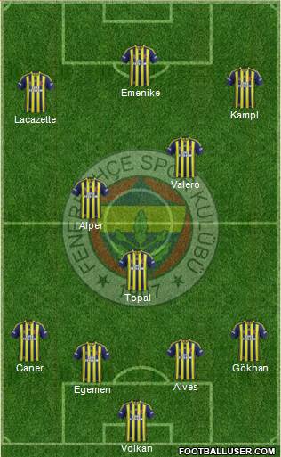 Fenerbahçe SK Formation 2014