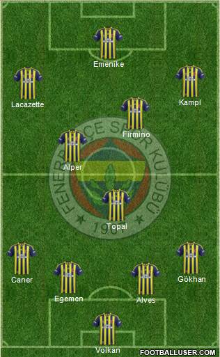 Fenerbahçe SK Formation 2014