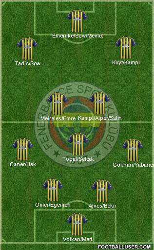 Fenerbahçe SK Formation 2014