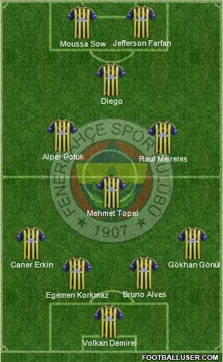 Fenerbahçe SK Formation 2014