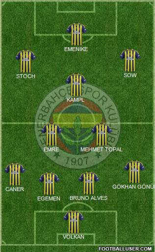Fenerbahçe SK Formation 2014
