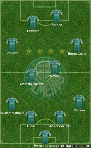 SE Palmeiras Formation 2014
