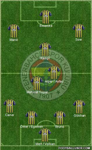 Fenerbahçe SK Formation 2014