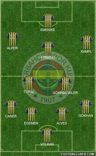 Fenerbahçe SK Formation 2014