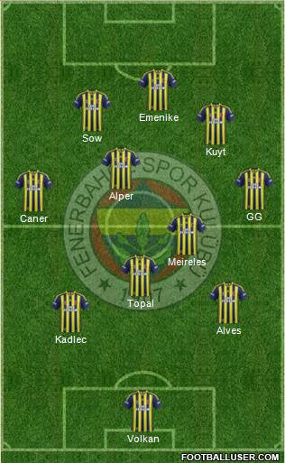 Fenerbahçe SK Formation 2014