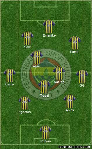 Fenerbahçe SK Formation 2014