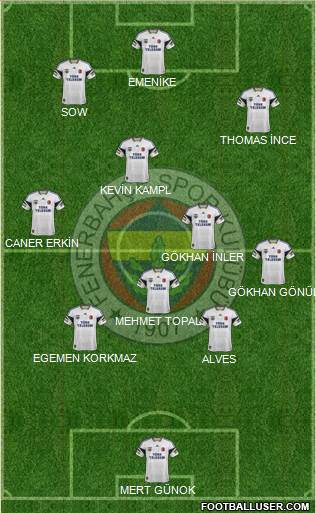 Fenerbahçe SK Formation 2014