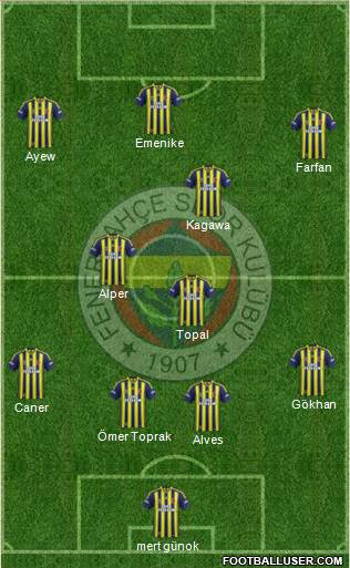 Fenerbahçe SK Formation 2014