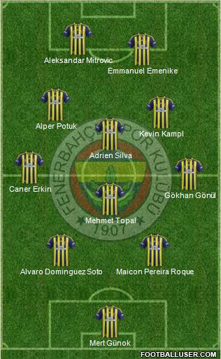 Fenerbahçe SK Formation 2014