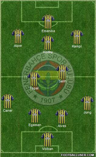 Fenerbahçe SK Formation 2014