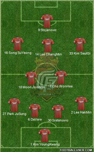 Gyeongnam FC Formation 2014