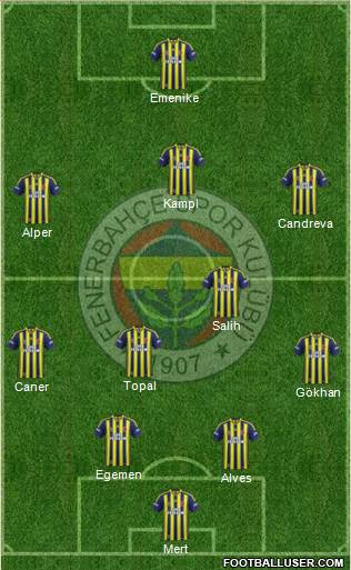 Fenerbahçe SK Formation 2014
