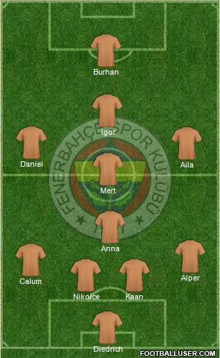 Fenerbahçe SK Formation 2014