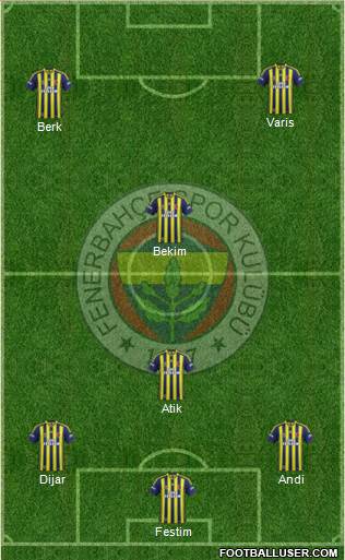 Fenerbahçe SK Formation 2014
