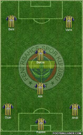 Fenerbahçe SK Formation 2014