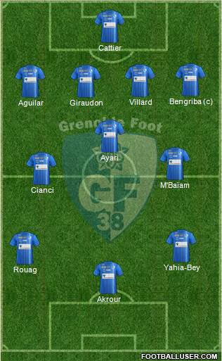 Grenoble Foot 38 Formation 2014